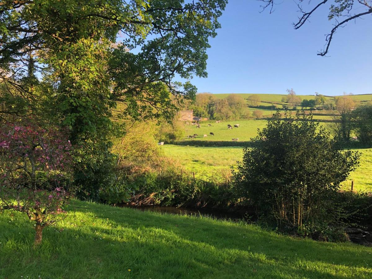Bow Mill Farm Bed & Breakfast Totnes Exterior photo